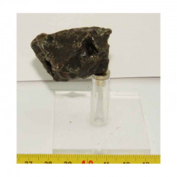 Meteorite Campo del Cielo ( 100 grs- 036 )