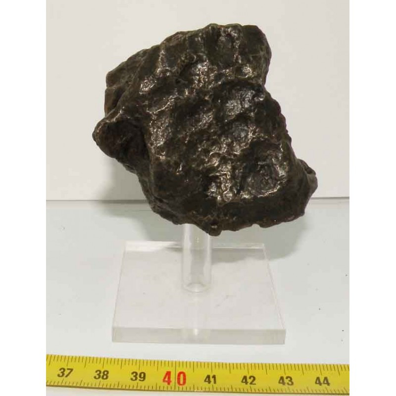 Meteorite Campo del Cielo ( 534 grs - 043 )