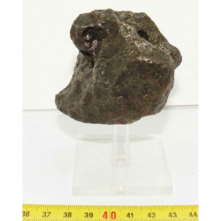Meteorite Campo del Cielo ( 534 grs - 043 )
