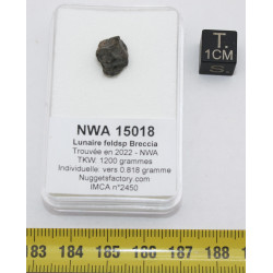 Météorite Lunaire NWA 15018...