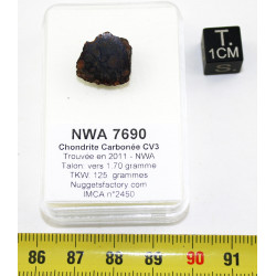 Talon de Météorite NWA 7690...