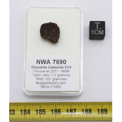 Talon de Météorite NWA 7690...