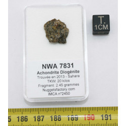 Météorite NWA 7831 dans une...