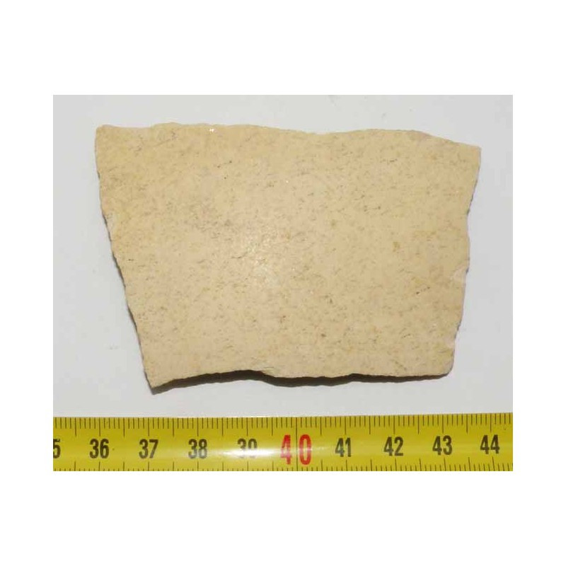 Fragment de coquille d oeuf fossile d Aepyornis ( 010) Fragment de coquille d oeuf fossile d Aepyornis ( 010)