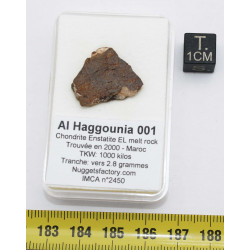 Tranche de Météorite Al Haggounia 001 / MWA 4420 Chondrite EL Enstatite (Maroc - 2.8 grammes - 008**)