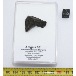 Météorite Amgala 001 -...