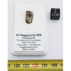 Météorite Al Haggounia 008...