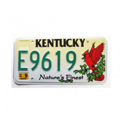 Plaque d Immatriculation USA - Kentucky ( 880 )