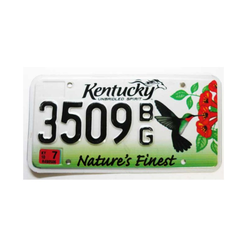 Plaque d Immatriculation USA - Kentucky ( 881 )