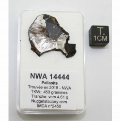 Météorite NWA 14444...