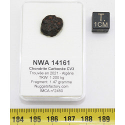 Météorite NWA 14161 dans...