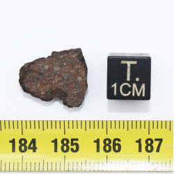 Talon de Météorite JAH 933 dans une boite Chondrite H3 (Oman - 1.75 gramme - 002** )