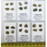 Lot de 4 Fragments de trinitite dans une boîte - Verre d Alamogordo ( USA - 1.0 gramme )