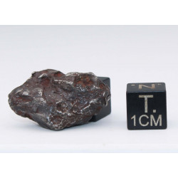 Météorite Sikhote Alin dans une boite Ocahedrite IIB ( Russie - 11.50 grammes - 010 ** )