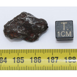 Météorite Sikhote Alin dans une boite Ocahedrite IIB ( Russie - 11.50 grammes - 010 ** )