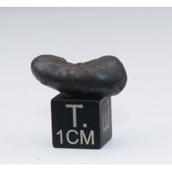 1 Météorite Sikhote Alin dans une boite Ocahedrite IIB (Russie - 5.90 grammes - 012 **)