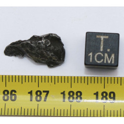 1 Météorite Sikhote Alin dans une boite Ocahedrite IIB (Russie - 53.20 grammes - 013 **)