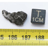 1 Météorite Sikhote Alin dans une boite Ocahedrite IIB (Russie - 53.20 grammes - 013 **)