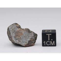 Talon de NWA 869 dans une boite - Chondrite L3/L6 (NWA - 5.8 grammes - 005**)