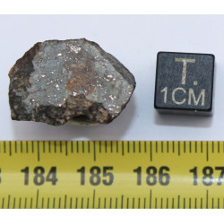 Talon de NWA 869 dans une boite - Chondrite L3/L6 (NWA - 5.8 grammes - 005**)