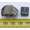 Talon de NWA 869 dans une boite - Chondrite L3/L6 (NWA - 5.8 grammes - 005**)