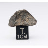 Talon de NWA 869 dans une boite - Chondrite L3/L6 (NWA - 5.8 grammes - 005**)