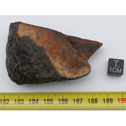 Talon de Météorite NWA non classée Talon de Météorite NWA non classée type L6(Sahara - 100 grammes - 238 **)