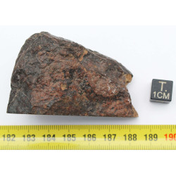 Talon de Météorite NWA non classée Talon de Météorite NWA non classée type L6(Sahara - 100 grammes - 238 **)