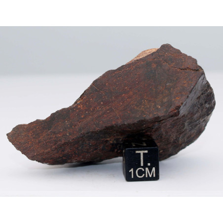 Talon de Météorite NWA non classée Talon de Météorite NWA non classée type L6(Sahara - 100 grammes - 238 **)