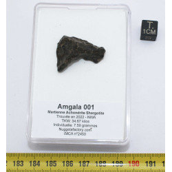 Météorite Amgala 001 - Martienne Achondrite Shergottite (NWA - 7.59 gramme - 027**)