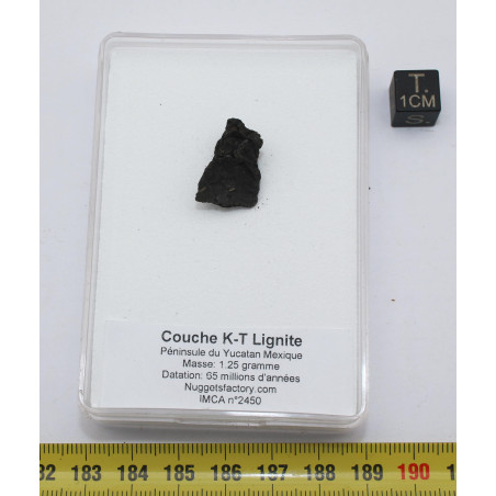 Rare !!! Couche KT Lignite du Yucatan dans une boite ( Mexique - 1.50 gramme - 011 ** )