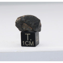 copie de Talon de NWA 869 dans une boite - Chondrite L3/L6 (NWA - 3.3 grammes - 006**)