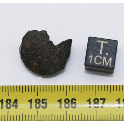 copie de Talon de NWA 869 dans une boite - Chondrite L3/L6 (NWA - 3.3 grammes - 006**)