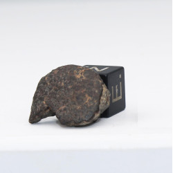 copie de Talon de NWA 869 dans une boite - Chondrite L3/L6 (NWA - 3.3 grammes - 006**)