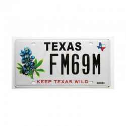 Plaque d Immatriculation USA - Texas ( 962 )