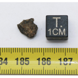 Météorite NWA 7397 dans une boite - Martienne Ach Shergottite (NWA - 0.612 gramme - 011**)