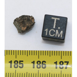 Météorite NWA 7397 dans une boite - Martienne Ach Shergottite (NWA - 0.612 gramme - 011**)