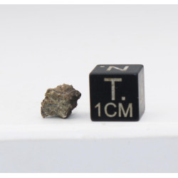 Météorite NWA 7397 dans une boite - Martienne Ach Shergottite (NWA - 0.612 gramme - 011**)