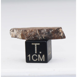 copie de Tranche de Météorite Al Haggounia 001 / MWA 4420 Chondrite EL Enstatite (Maroc - 2.2 grammes - 009**)