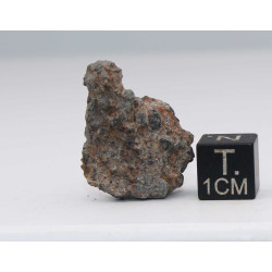 NWA 14056 Paired Achondrite HED Diogénite dans une boite (7.37 grammes - 008 **)