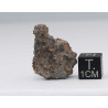 NWA 14056 Paired Achondrite HED Diogénite dans une boite (7.37 grammes - 008 **)