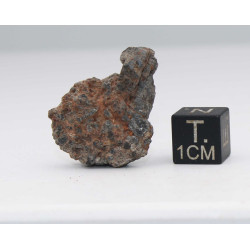NWA 14056 Paired Achondrite HED Diogénite dans une boite (7.37 grammes - 008 **)