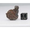 NWA 14056 Paired Achondrite HED Diogénite dans une boite (7.37 grammes - 008 **)