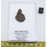 NWA 14056 Paired Achondrite HED Diogénite dans une boite (7.37 grammes - 008 **)