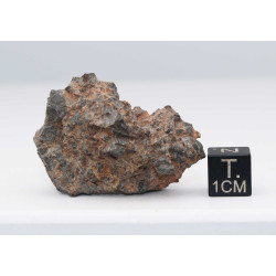 NWA 14056 Paired Achondrite HED Diogénite dans une boite (26.75 Grammes-009 **)