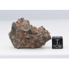 NWA 14056 Paired Achondrite HED Diogénite dans une boite (26.75 Grammes-009 **)