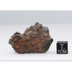 NWA 14056 Paired Achondrite HED Diogénite dans une boite (26.75 Grammes-009 **)
