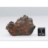NWA 14056 Paired Achondrite HED Diogénite dans une boite (26.75 Grammes-009 **)