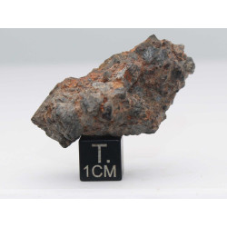NWA 14056 Paired Achondrite HED Diogénite dans une boite (26.75 Grammes-009 **)