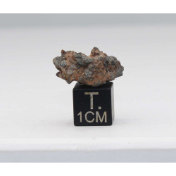 NWA 14056 Paired Achondrite HED Diogénite dans une boite (2.60 grammes - 010 **)
